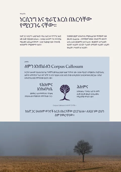 የታተመው መጽሔት ገጽ 3