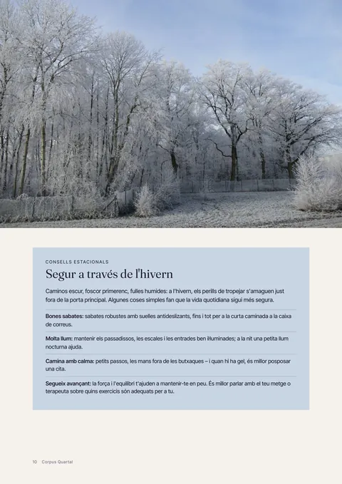 Pàgina 10 de la revista impresa