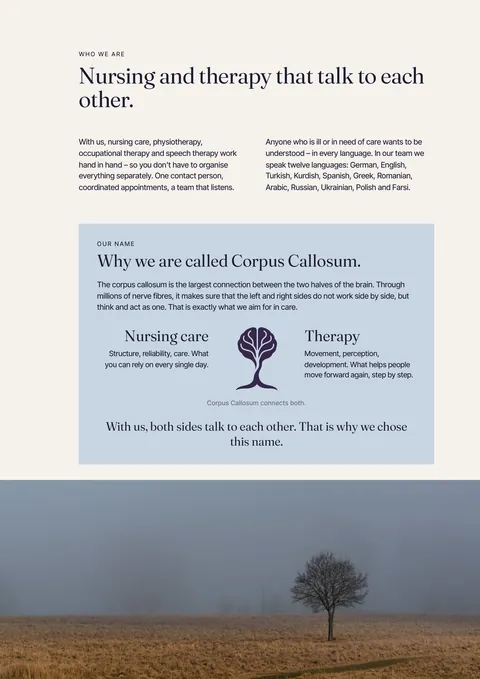 Page 3 of the printed magazine