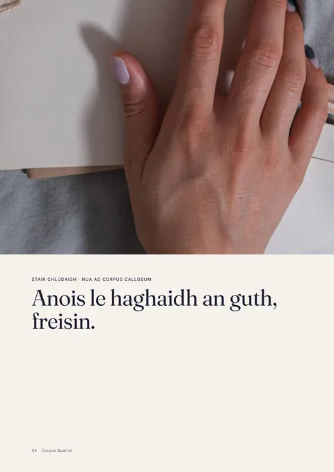 leathanach 4 den iris phriontáilte