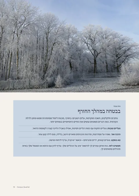 עמוד 10 של המגזין המודפס