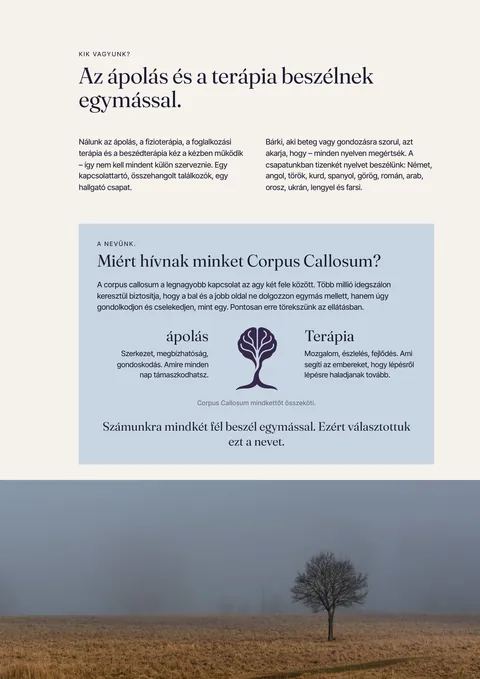 A nyomtatott folyóirat 3 oldala