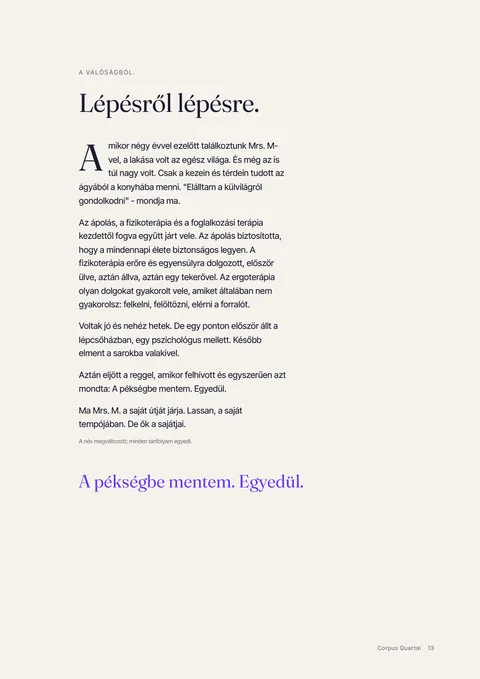 A nyomtatott folyóirat 13 oldala
