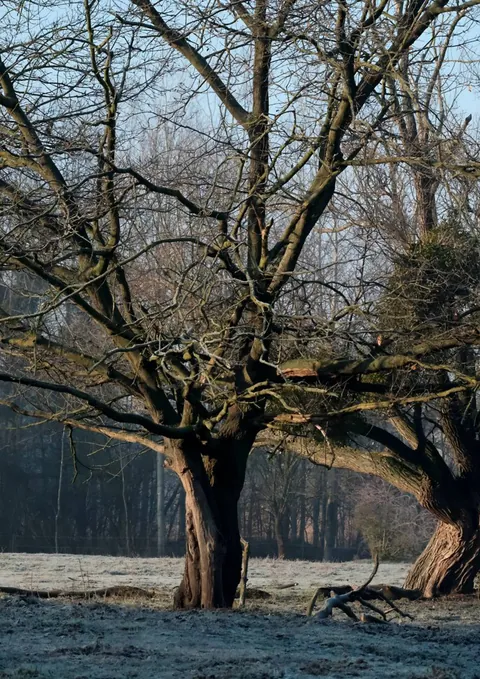 Halaman 11 dari majalah cetak
