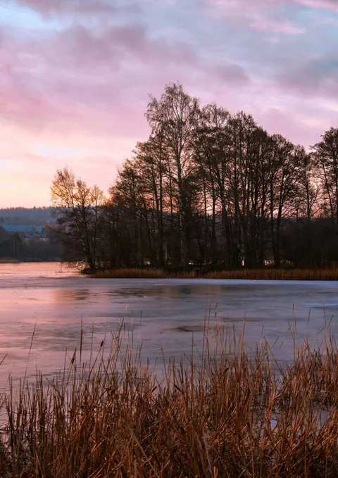 Pagina 21 della rivista stampata