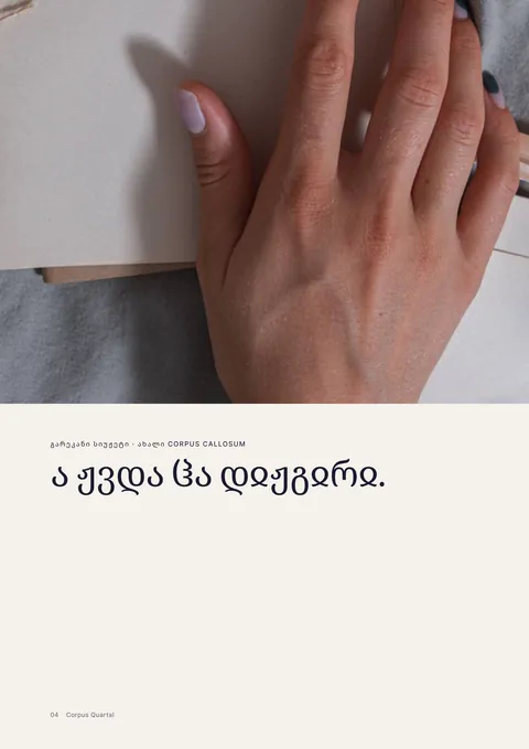 ბეჭდური ჟურნალის 4 გვერდი
