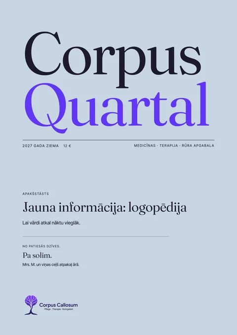 Izstrādātā žurnāla 1 lappuse