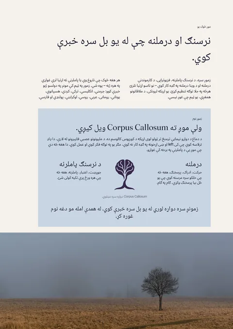 د چاپي مجلې مخ 3