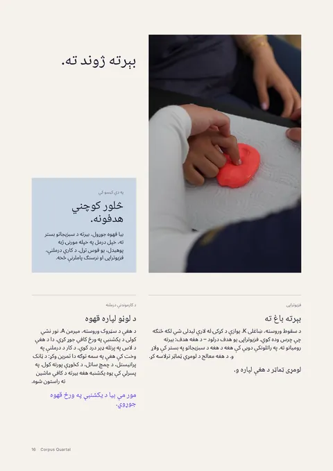 د چاپي مجلې مخ 16