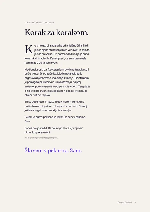 Stran 13 tiskane revije