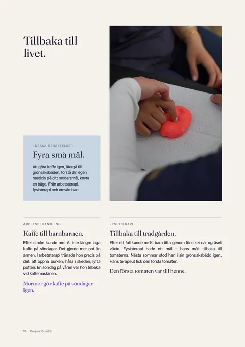 Sid 16 i den tryckta tidskriften