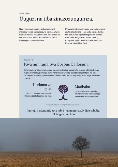 Ukurasa 3 wa gazeti la magazeti